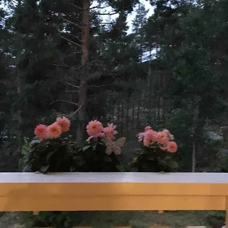 Дом отдыха Annes House